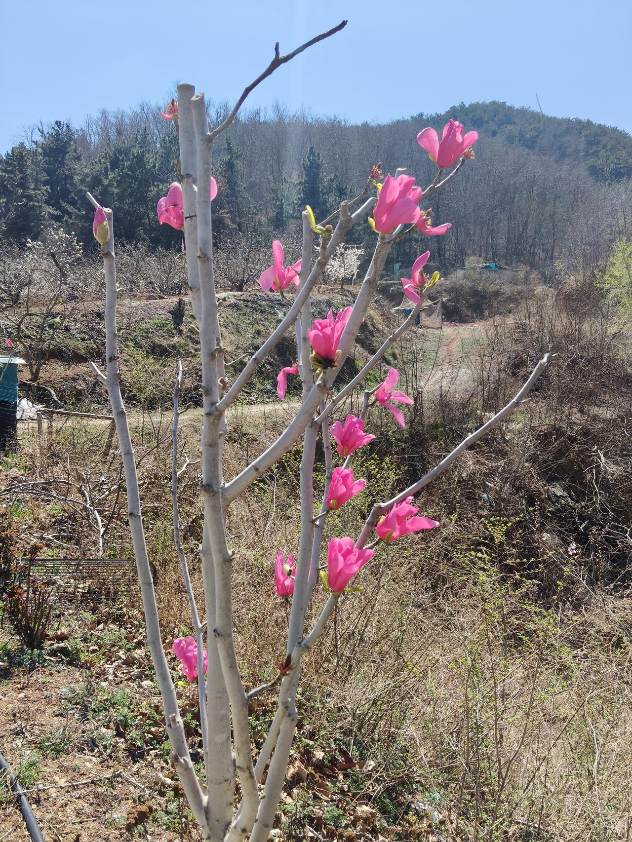 吃了唐僧肉，也不能长生不老

《西游记》是我儿时最喜欢的一部影视作品，里面的妖魔