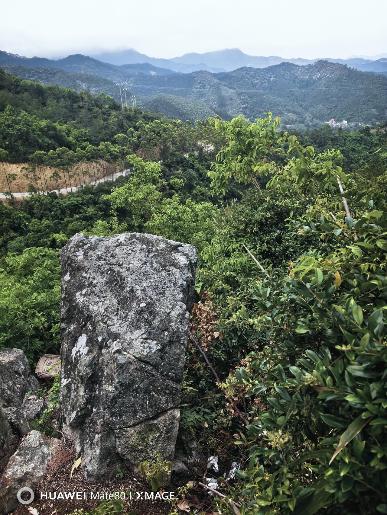 兄弟姐妹之间也有优越感，我最不喜欢兄弟姐妹之间的优越感，肯定有家庭条件好的，也有