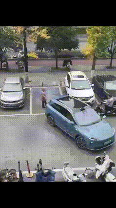 看来不按套路出牌，只能用不按套路出牌回击，就是以其人之道，还治其人之身！
看看这