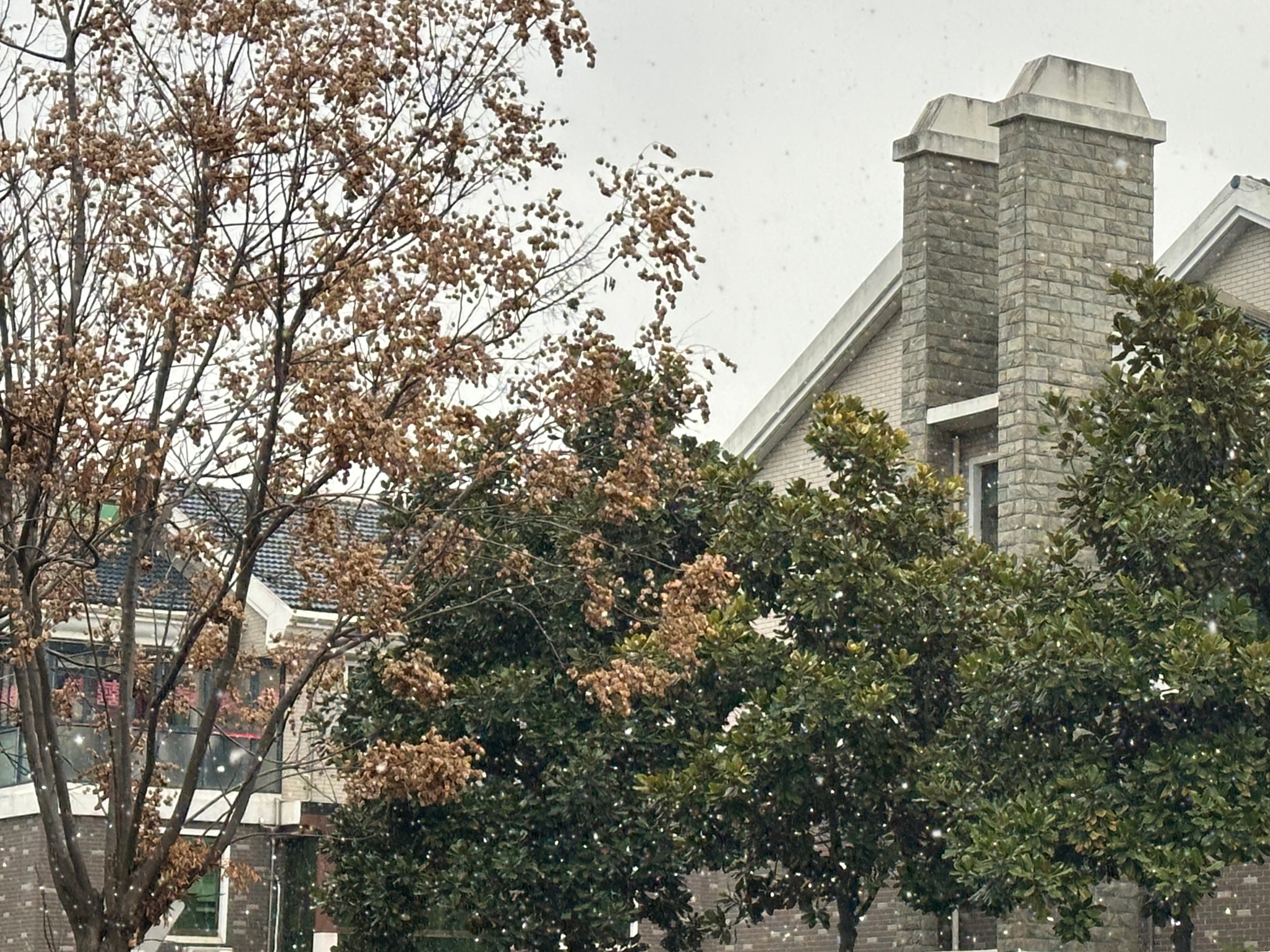 2026年的第一场❄️冬天的第一场雪