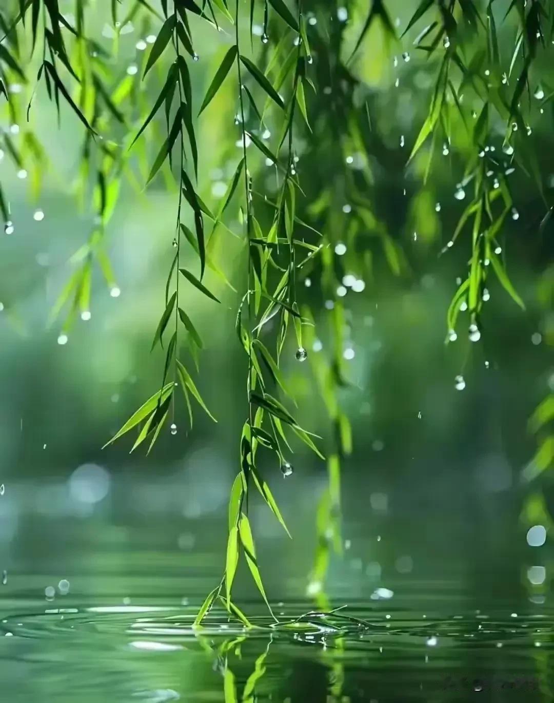 《七律·风雨悟心》

世事风波袭俗寰，
休凭外物挡危艰。
不携伞盖遮狂雨，
自有