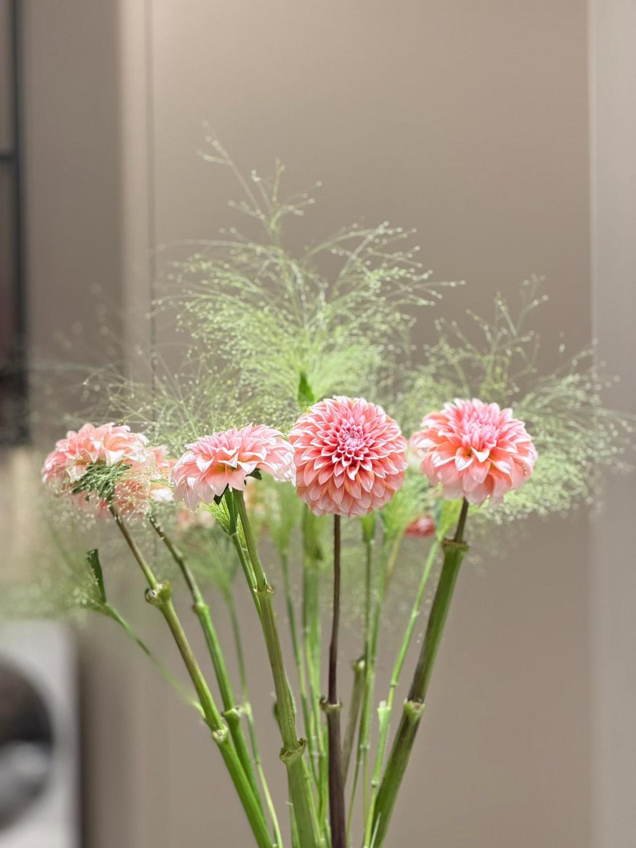 春天到了，在我的书房布置几朵小花！