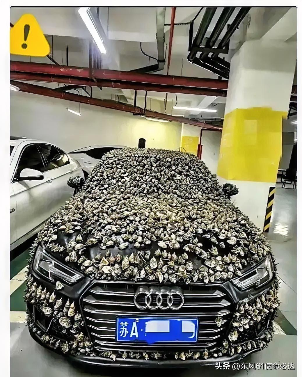 江苏的陈先生在小区买了专属车位，每天下班能顺顺利利停进自己的车位。但不知为何总有