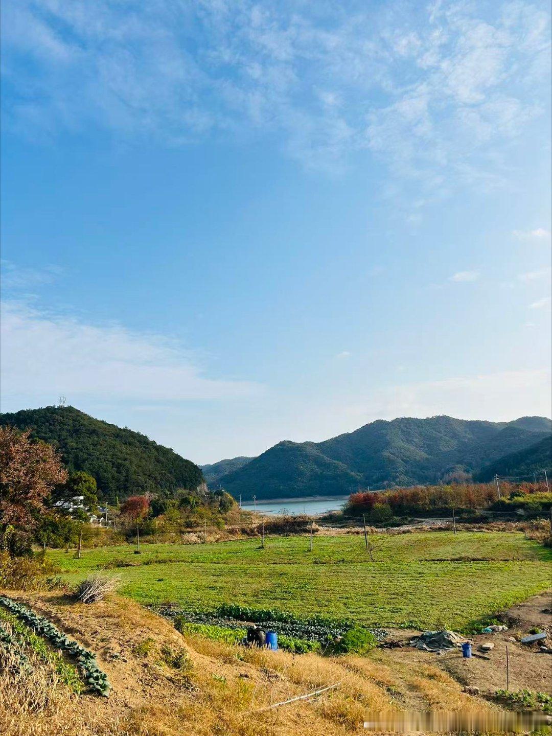 李雪琴徐志胜上再见爱人了毒舌电视剧真在演李雪琴这下段子很多感觉敢说敢做有一堆好玩