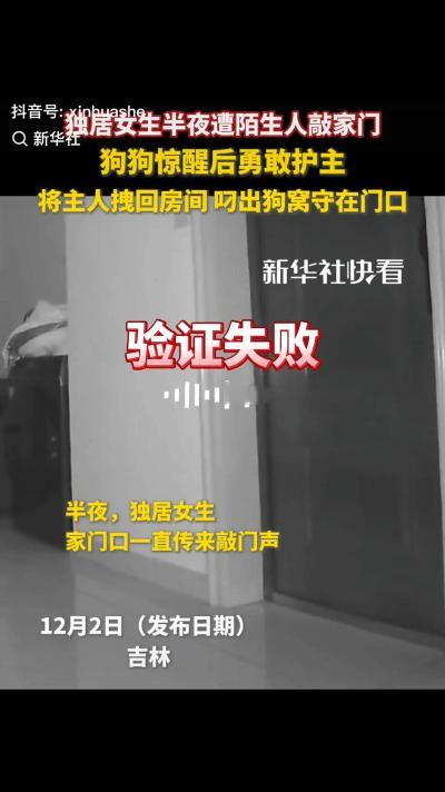 “忠犬护主照进现实！”吉林一独居女生半夜突然传来来了阵阵敲门声，同时门锁就报了“