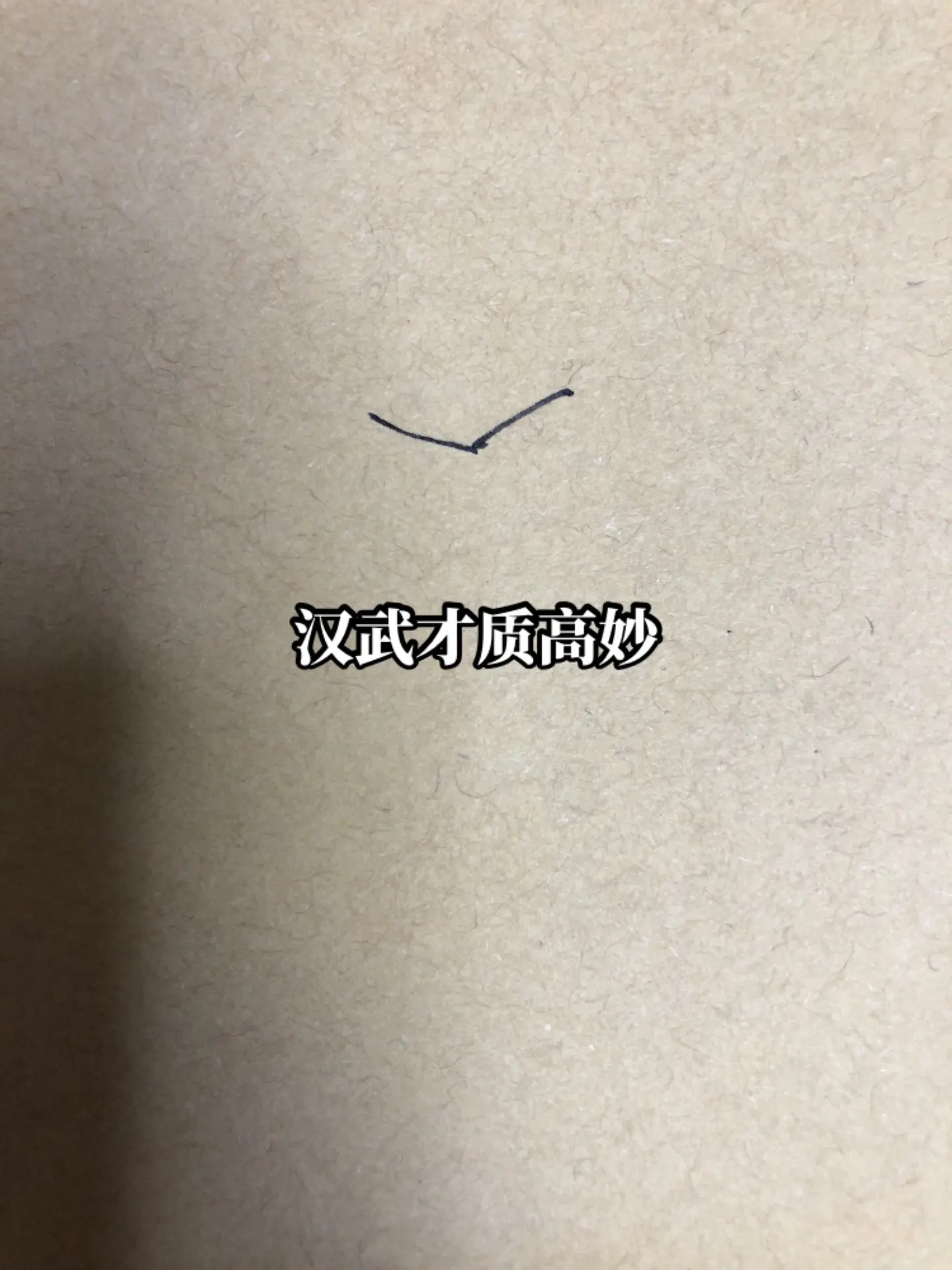 汉武帝刘彻，寇可往，我亦可往。大汉画画