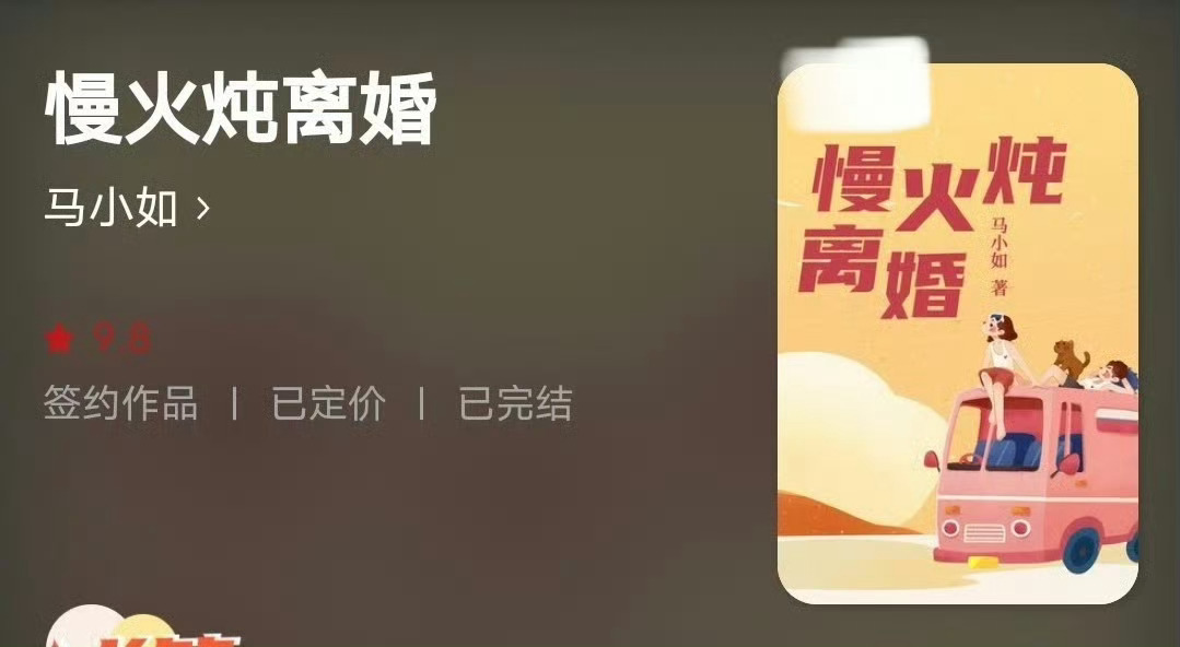 小说推荐：《慢火炖离婚》 作者:马小如简评：敏感女编剧vs温柔男画家，男暗恋女，