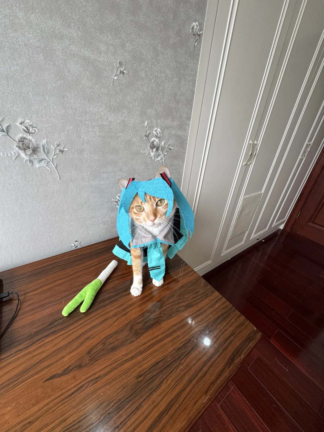 我去！初音未来！
