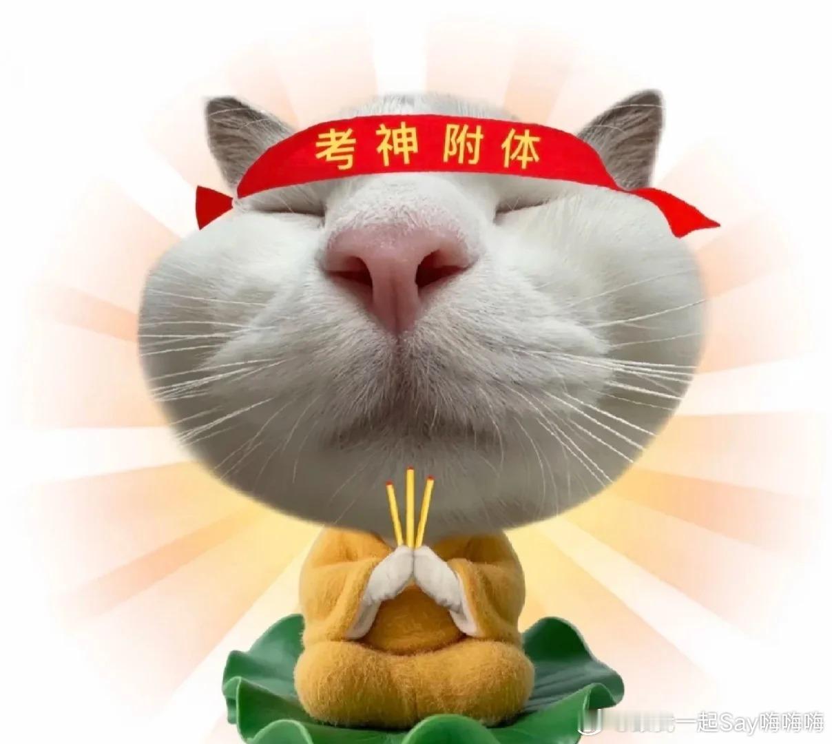 外卖小哥说高考生有需要可随时拦停我真的是太暖心了，高考对于孩子们来说很重要，在这