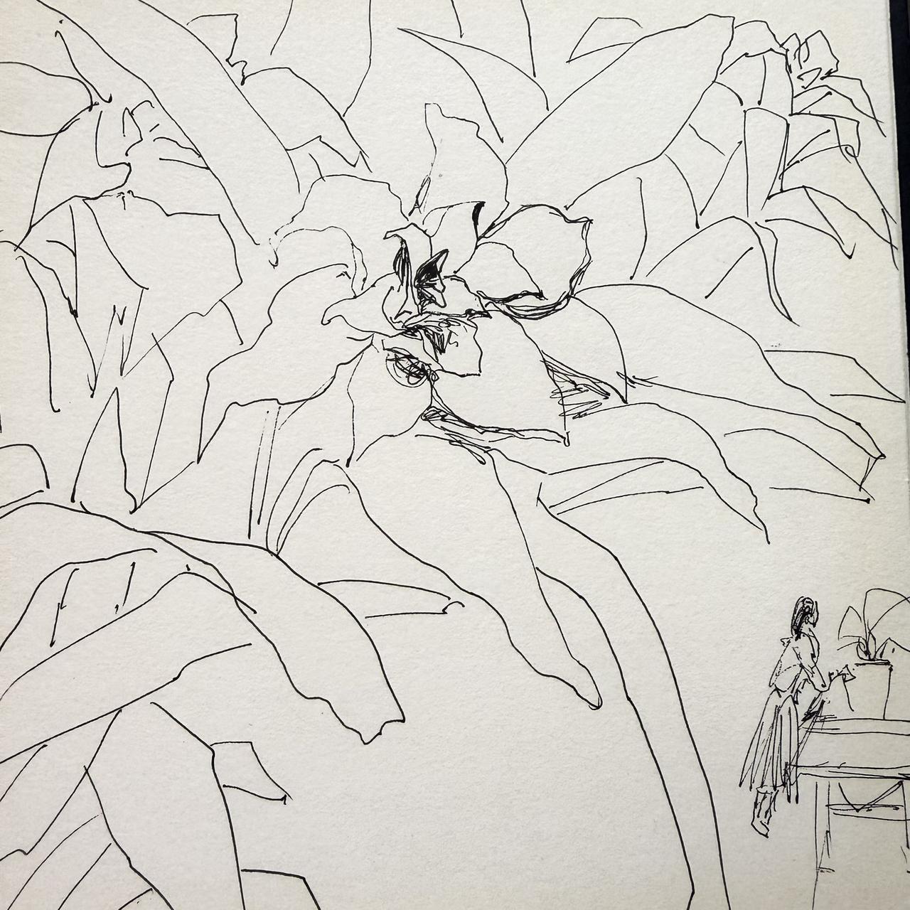 线条之美