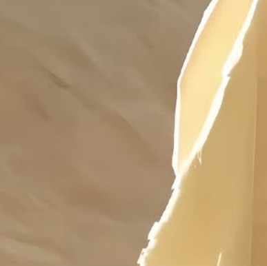 每日一善🌟阳光信用☘️ygxy极好784，🉑转🉑评🉑蹭，满互15字互动更