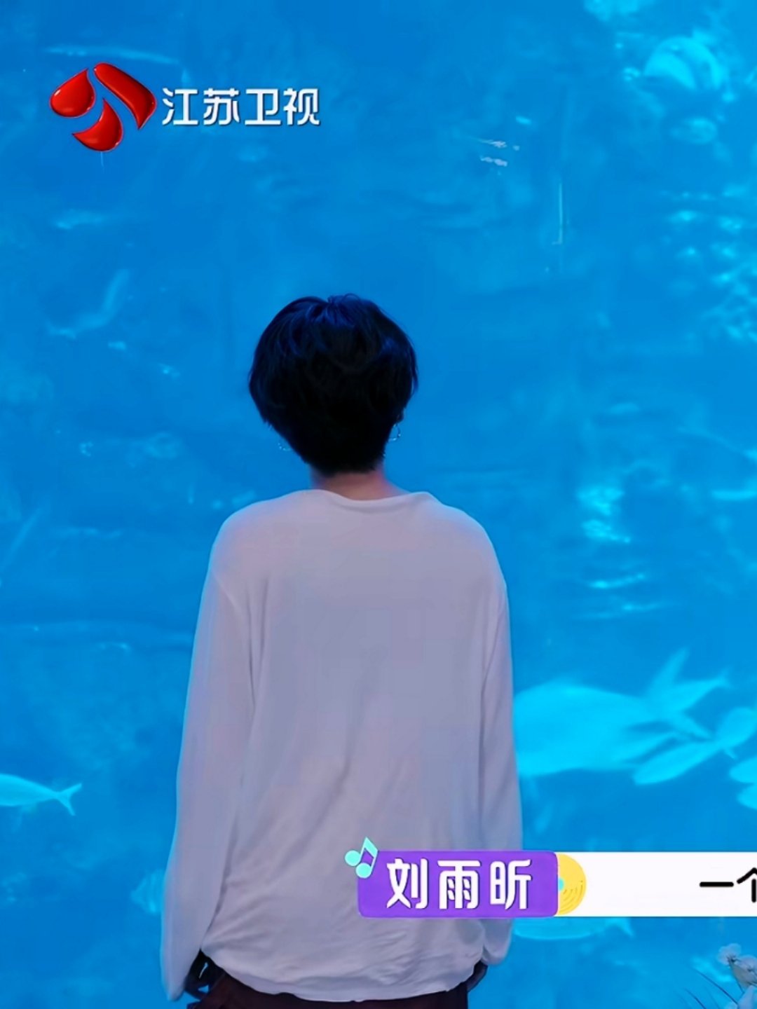 刘雨昕 上升期女艺人，以及女神背影都那么迷人刘雨昕音你而来