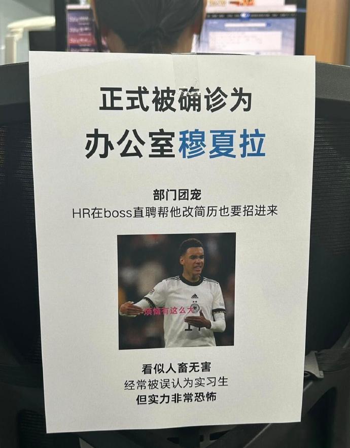 胖哥汽车频道正式确诊办公室哈兰德 已被正式确诊！2026车轮上的世界杯
