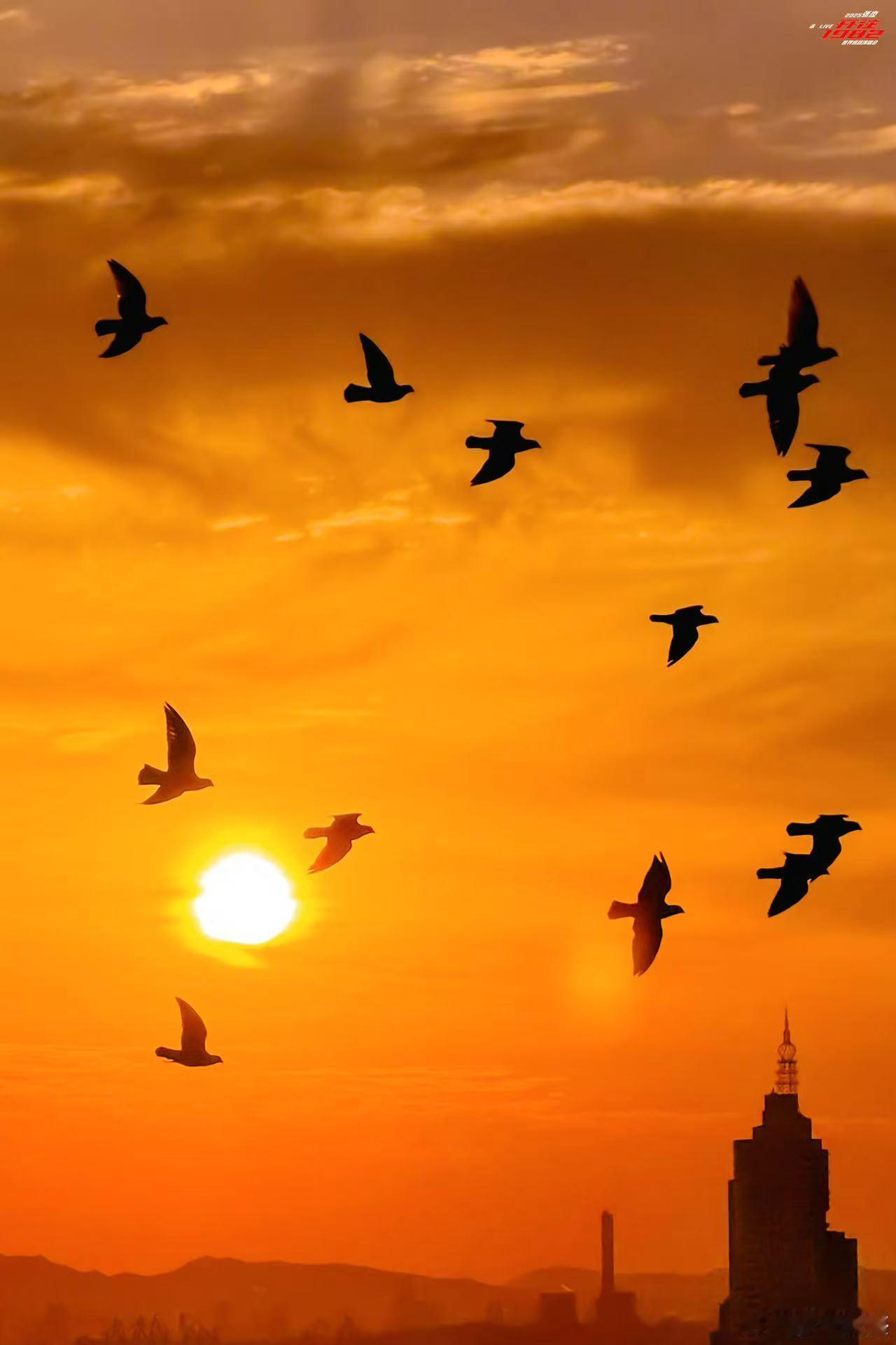 张杰打卡青岛张杰叮铃打卡青岛张杰打卡青岛，可以可以，[晕][晕] ​​​