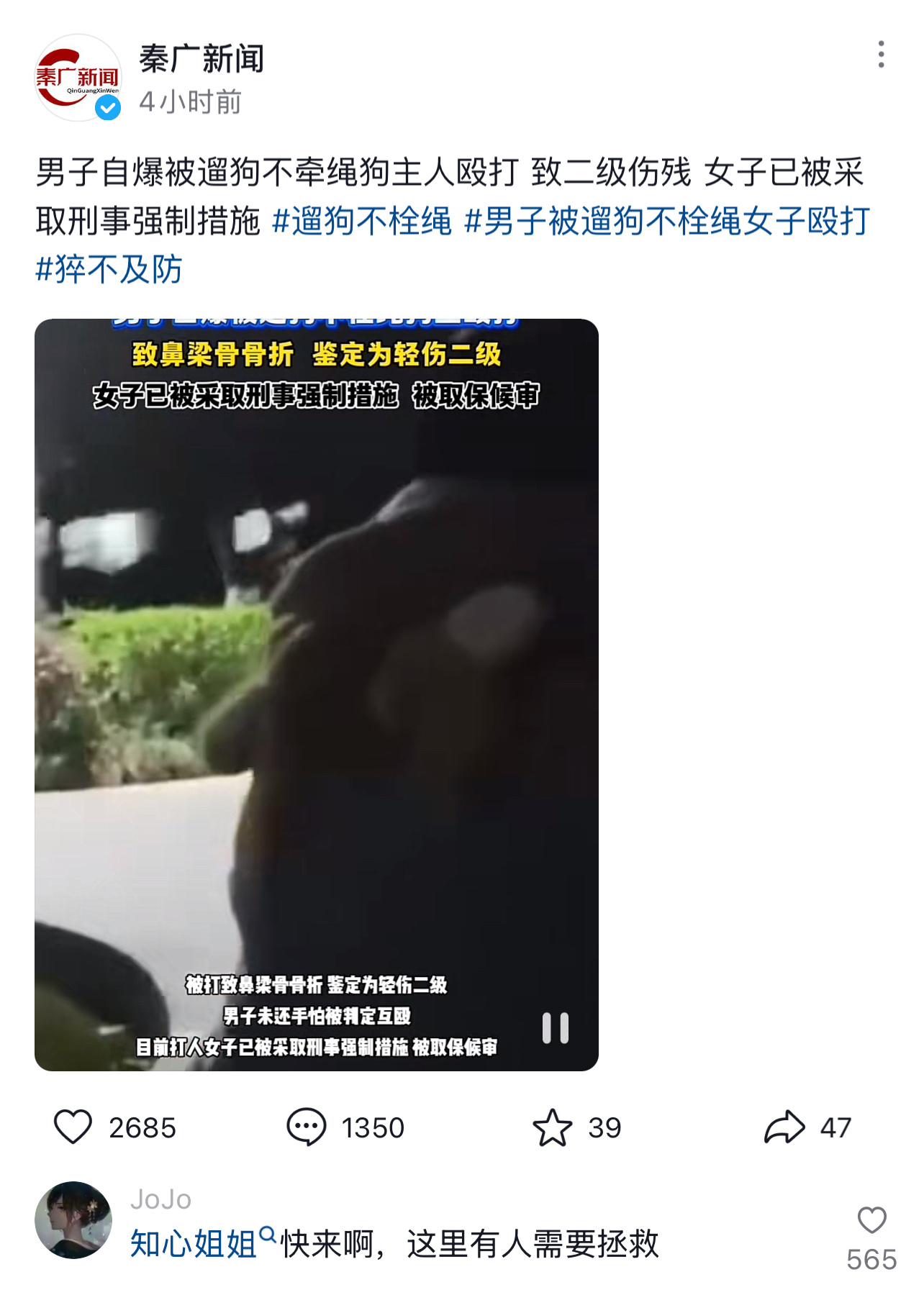 一男子提醒两个遛狗女子遛狗要牵绳，反而被打致二级轻伤，女子现在以取保了。没事，我