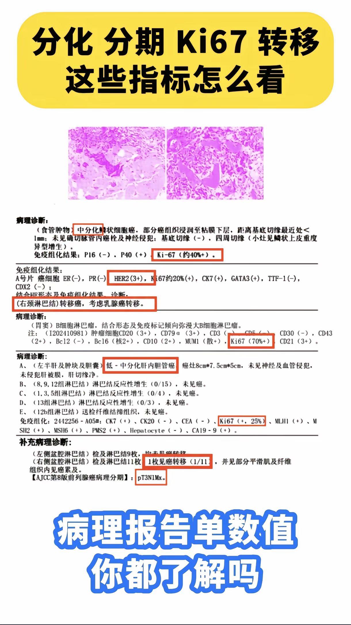 这几项数值都很重要，大家一定要多关注