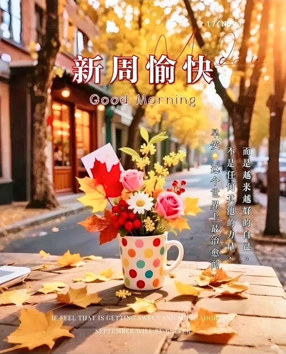 夏日晨光洒满街角，花束与落叶蹁跹共舞。新周顺遂，愿你邂逅愈发美好的自己！
早安心