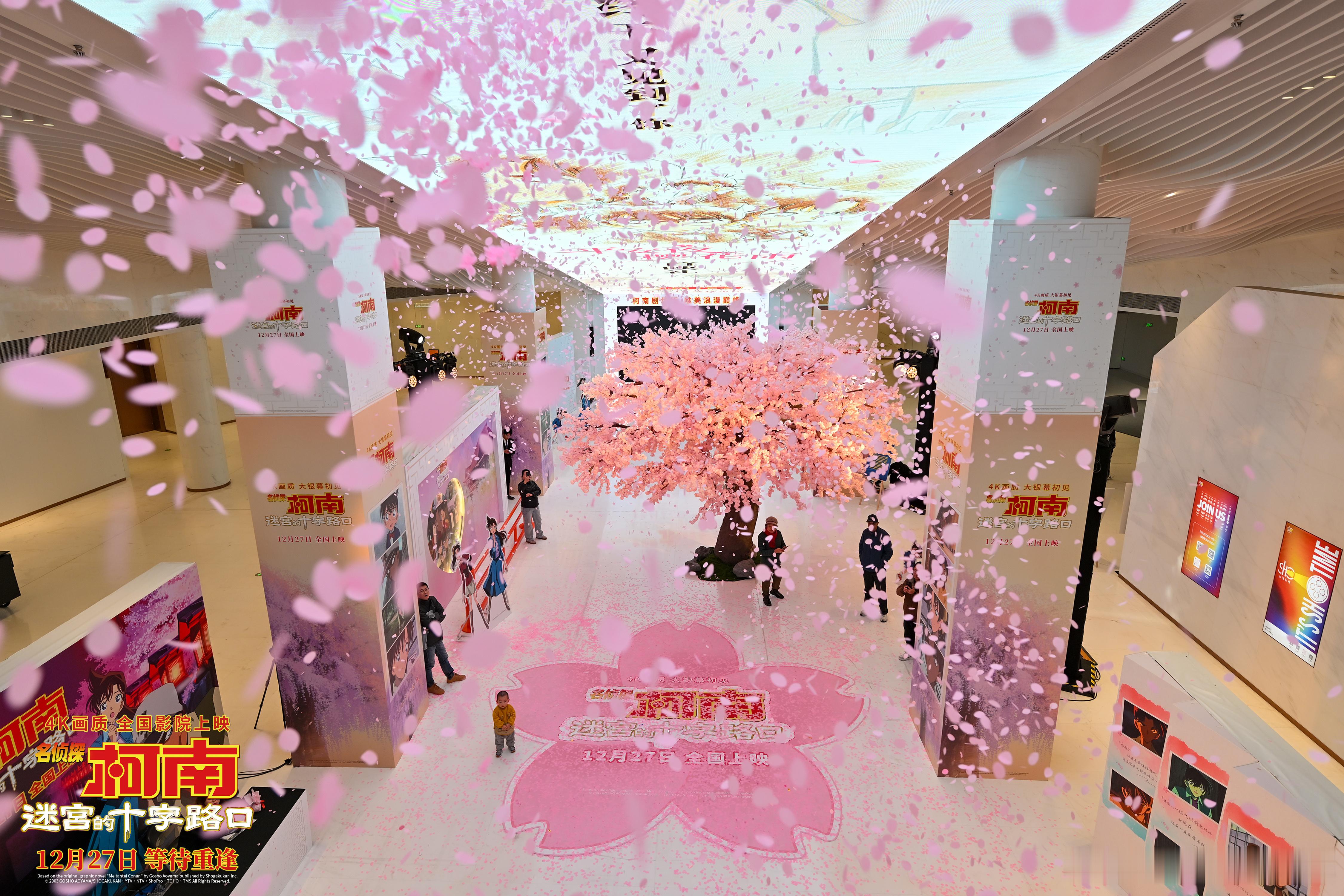 名侦探柯南:迷宫的十字路口  千人厅樱花雨即将盛大来临！柯南剧场版唯美浪漫巅峰之