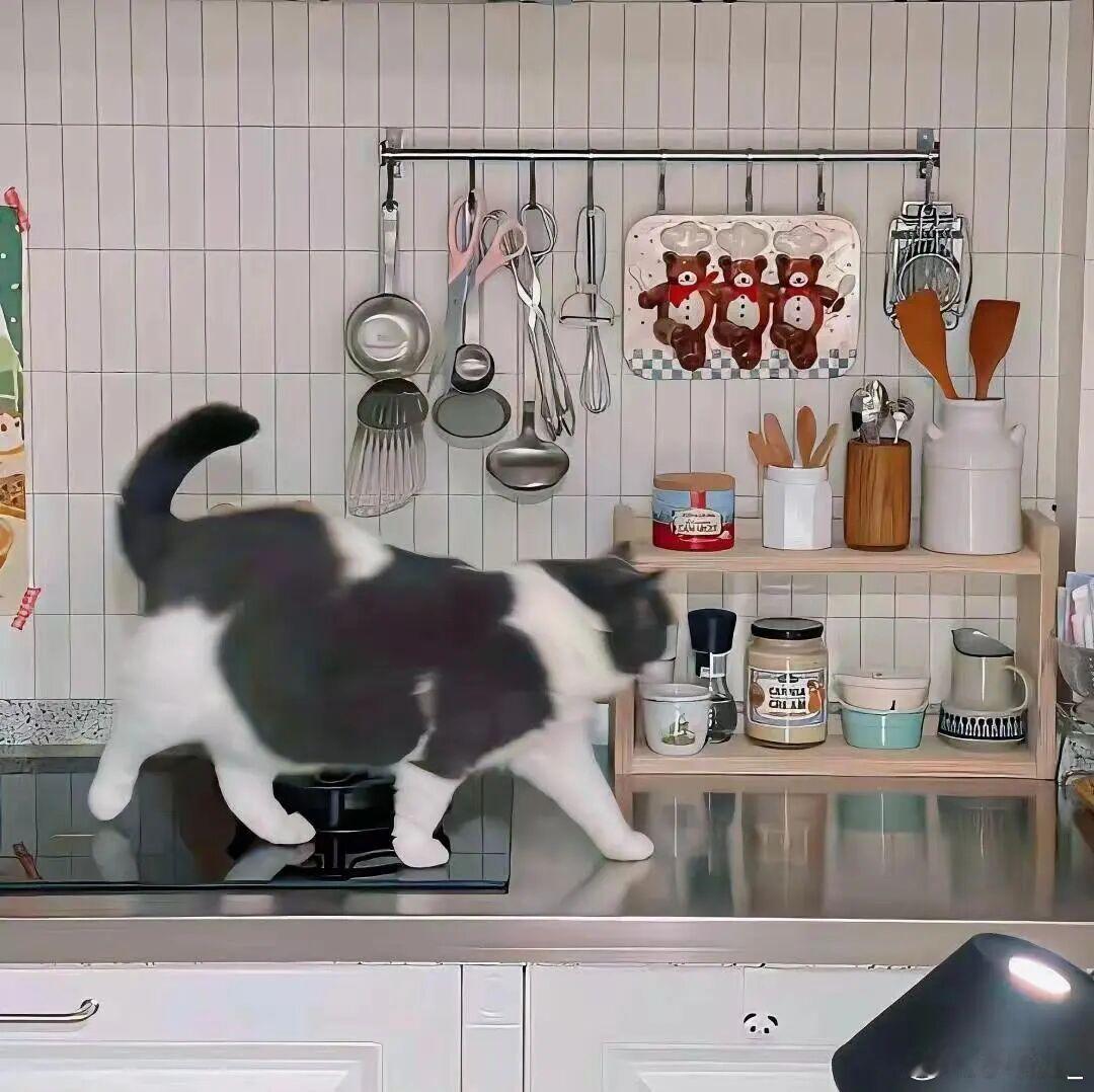 不用打听我，我的好坏都不入你那俗套的嘴里。 