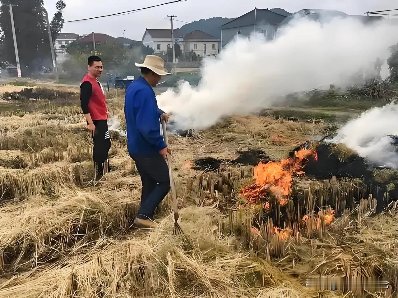 秸秆焚烧的好处：
1.省事快当：一把火烧了，地干净利索，省得费劲巴拉地收拾。
2