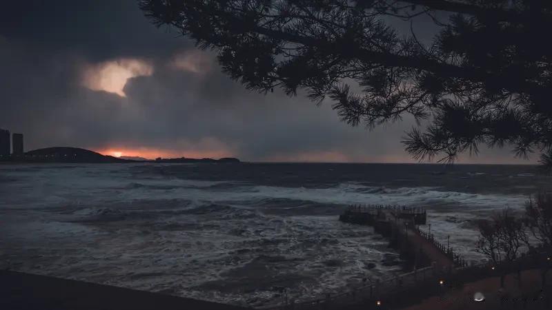 啥能有6亿阅读量？原来是山东威海下的“倾盆大瓢雪”！2026年1月10 - 11