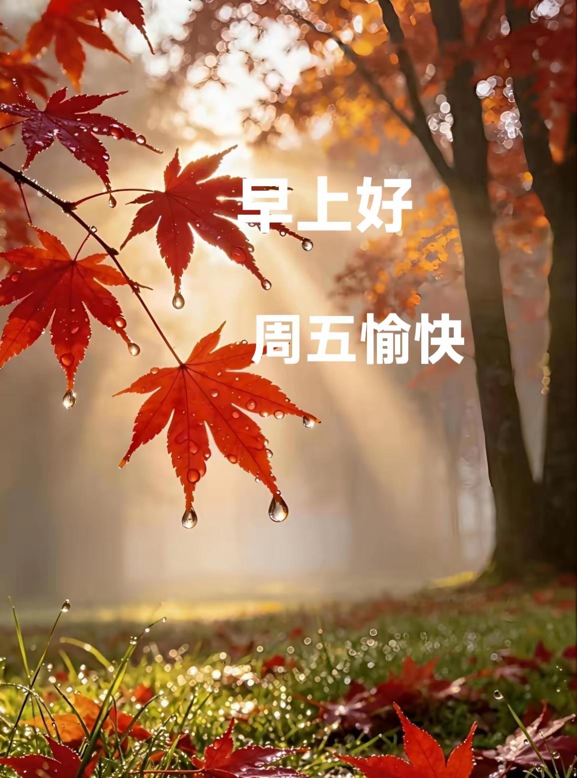 [玫瑰]早上好🌿[玫瑰]
秋光温婉，月寄期盼，
浅诉惦念，温情相伴，
心怀安然