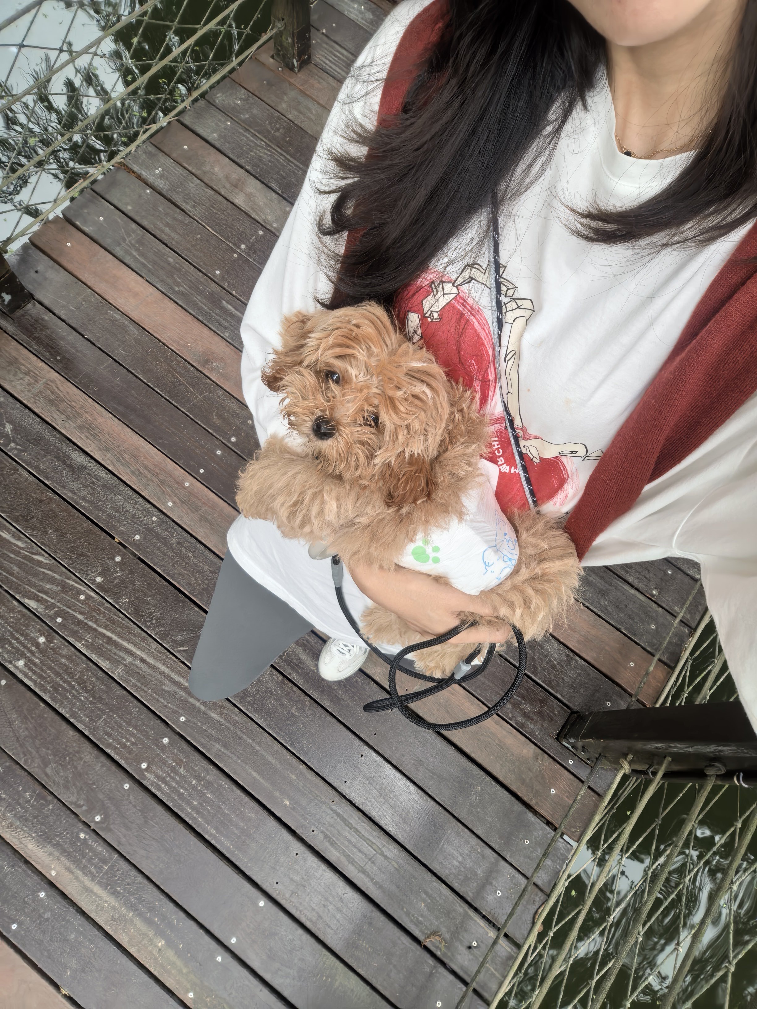 可爱不[嘻嘻] ​​​