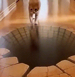 3446啊啊啊啊啊啊啊啊啊啊啊啊啊───── 