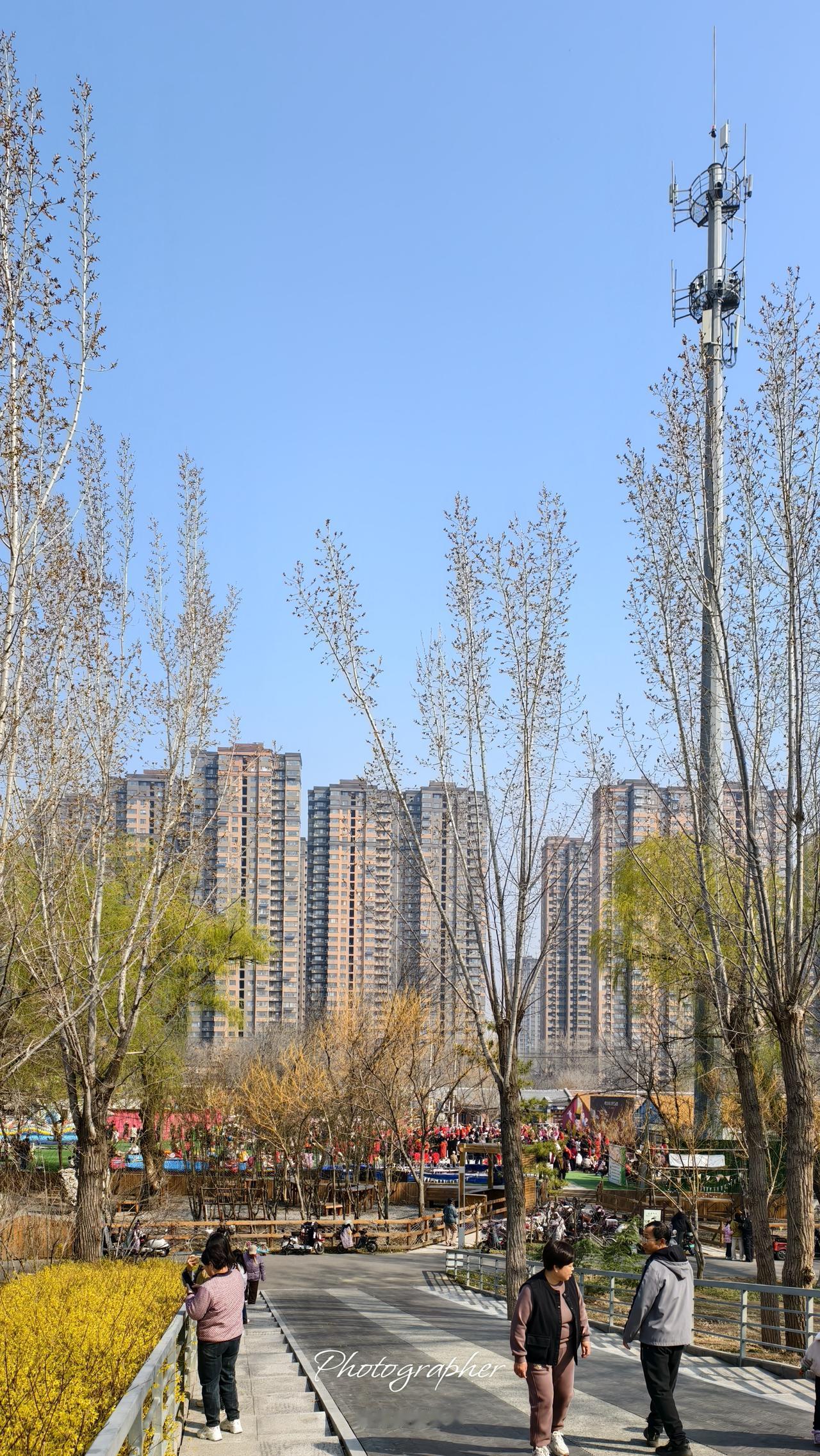 今天是农历二月二龙抬头，德州杨家圈街区庆贺龙抬头节日，唱歌、跳舞、唱河北梆子戏、