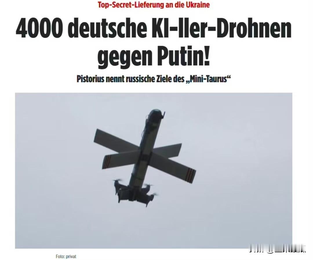 德国讲给山寨“柳叶刀”给乌克兰。德国方面称，将把研发出来的智能巡飞弹交付乌克兰，