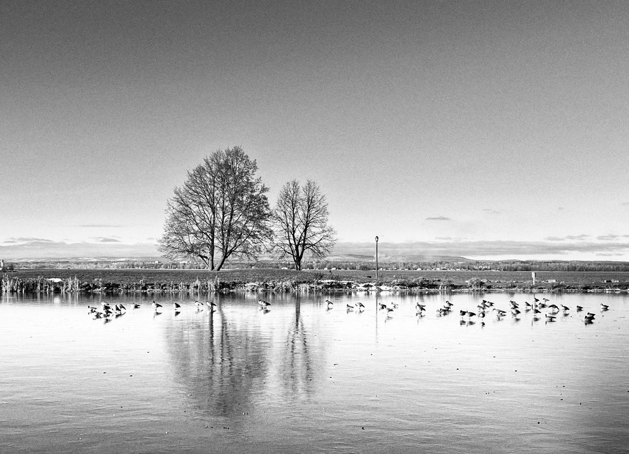 我猜，养殖场里面的猪也不会有安全感的，你信不信？除非是蠢猪。