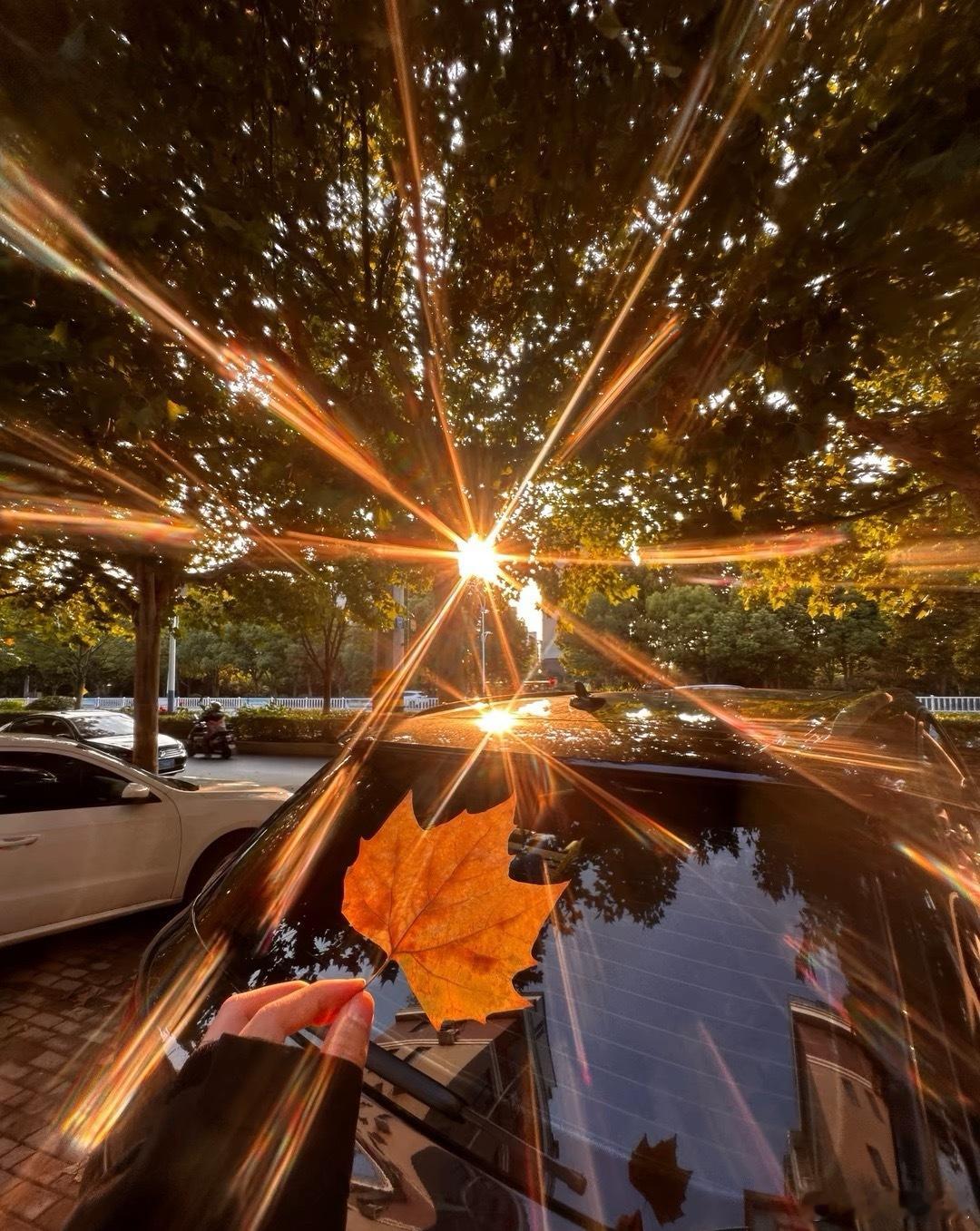 微博年度待改编ip评选pick你心中的改编潜力王 在沙漠里，我们学会了爱黄昏的时