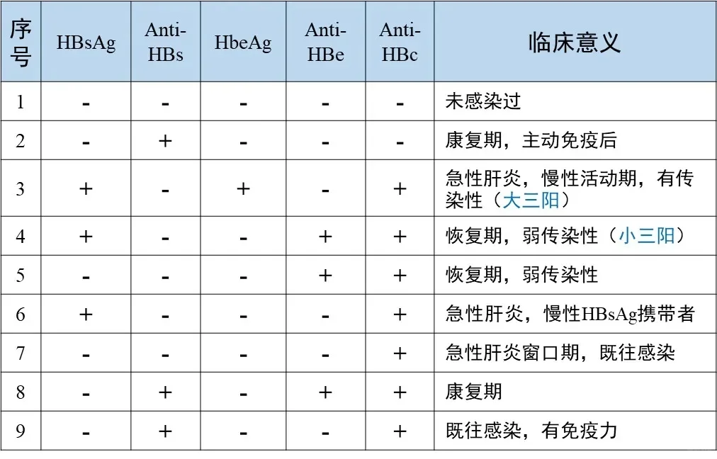 乙肝两对半审核检测临床意义
