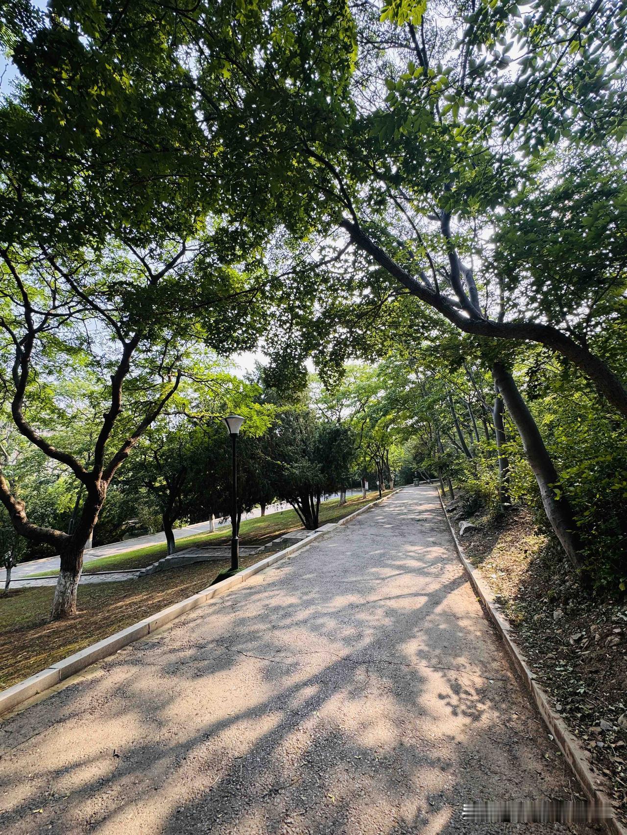 每天下午，我都会来公园里遛狗。

这个时间段的公园里，除了有打扑克的老人，基本上