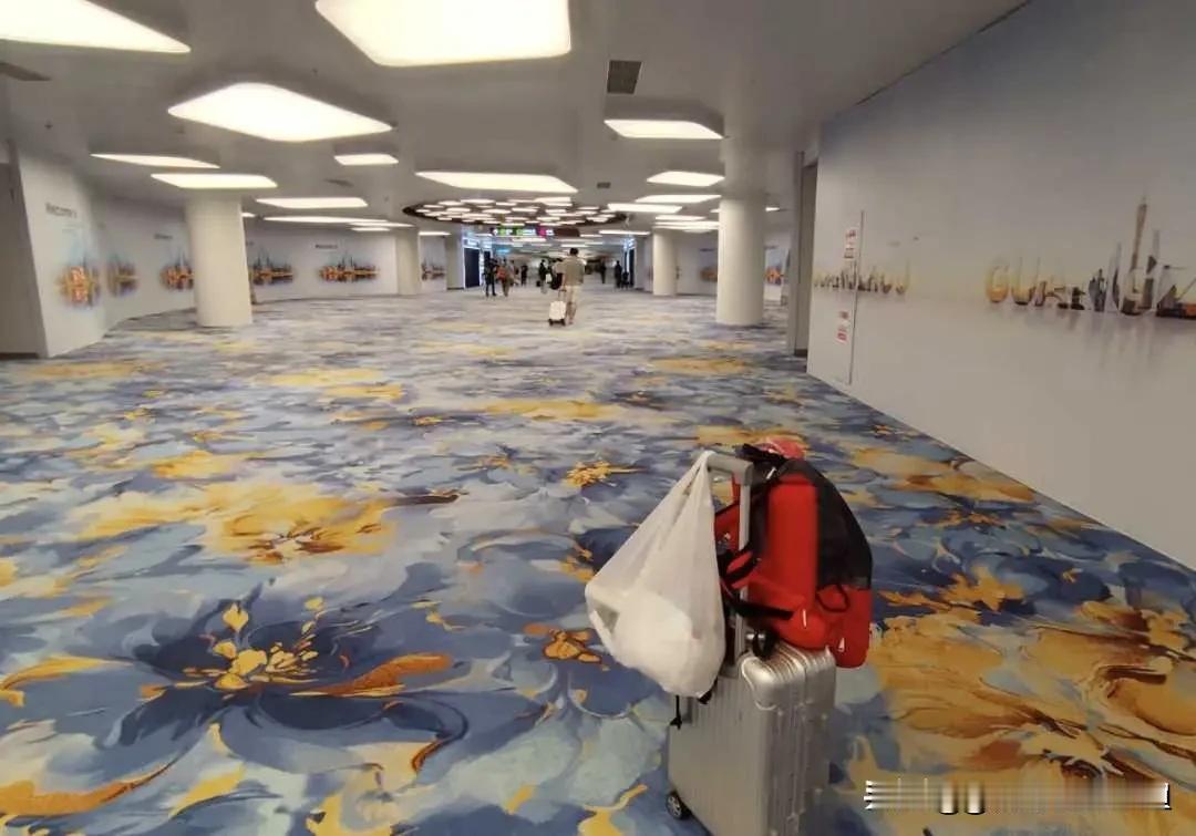 网友热议：番禺投入巨大却发展不及预期，南沙地铁冷清，反而从化才是民心所向
 
广