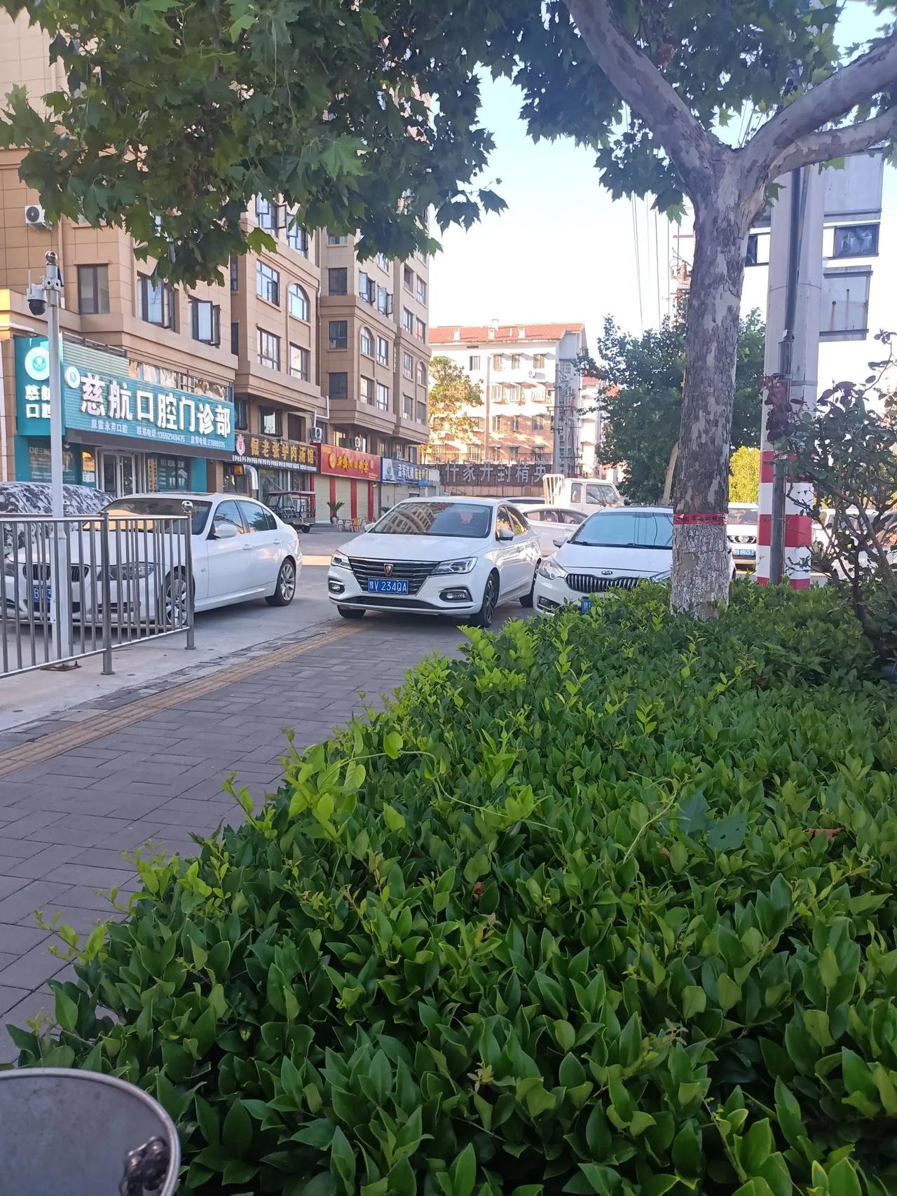 我的父母被圈住的牢笼是老家
而我自己被套死的牢笼是他乡
老一辈人思念的是土地
我