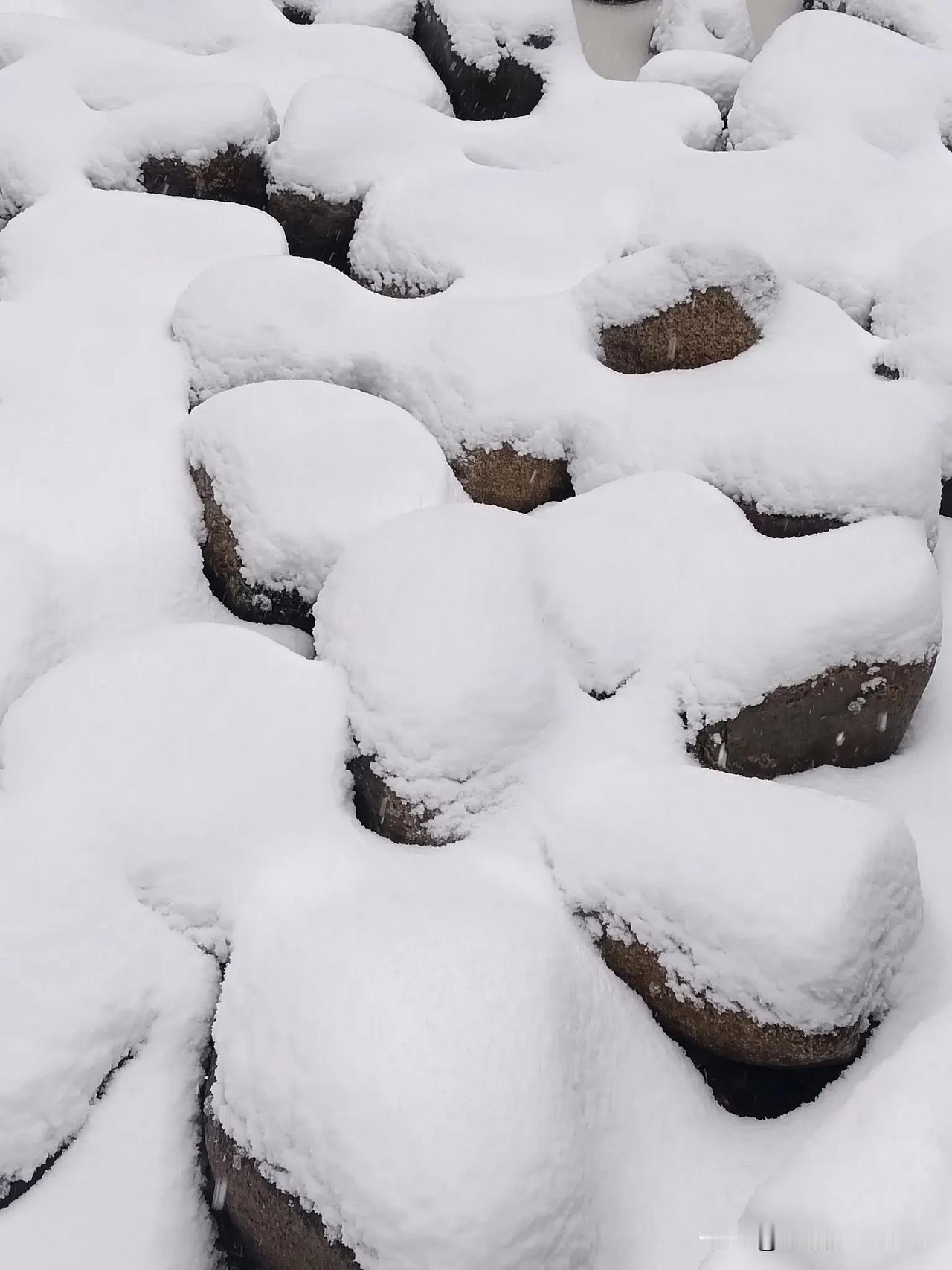 雪景一次只能发18张，不分享给朋友们心里过意不去，再发十八张供您欣赏！