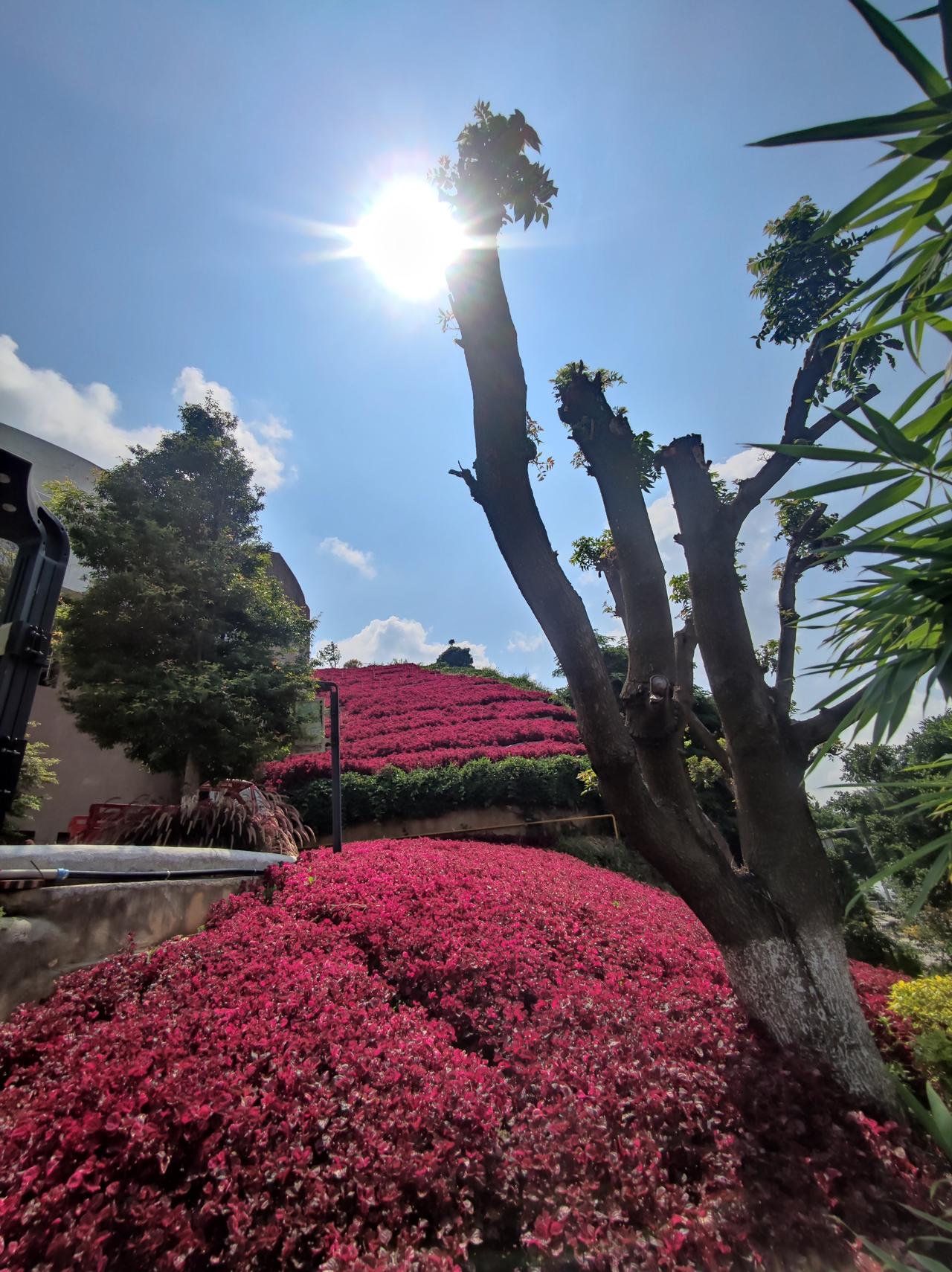 现在出去旅游回来就赶紧写下来，发图片。我这么主动积极分享主要有三个原因：
第一就
