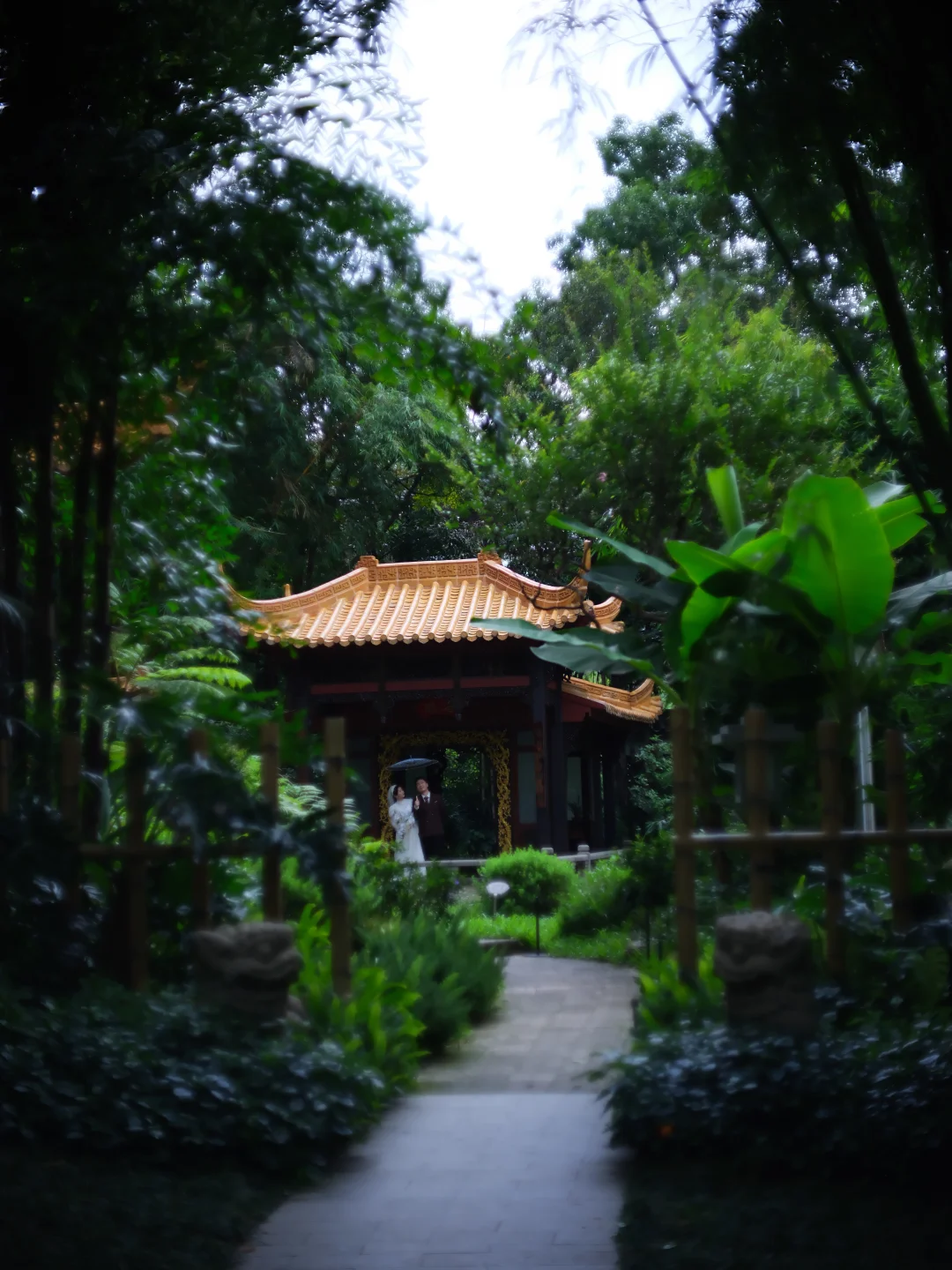 雨天阴天也要去兰圃