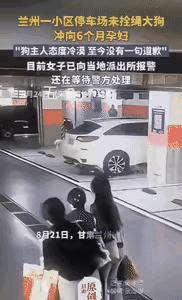 甘肃兰州三个女生在地下停车场走得好好的，其中一个还怀着6个月身孕，突然就冲过来两