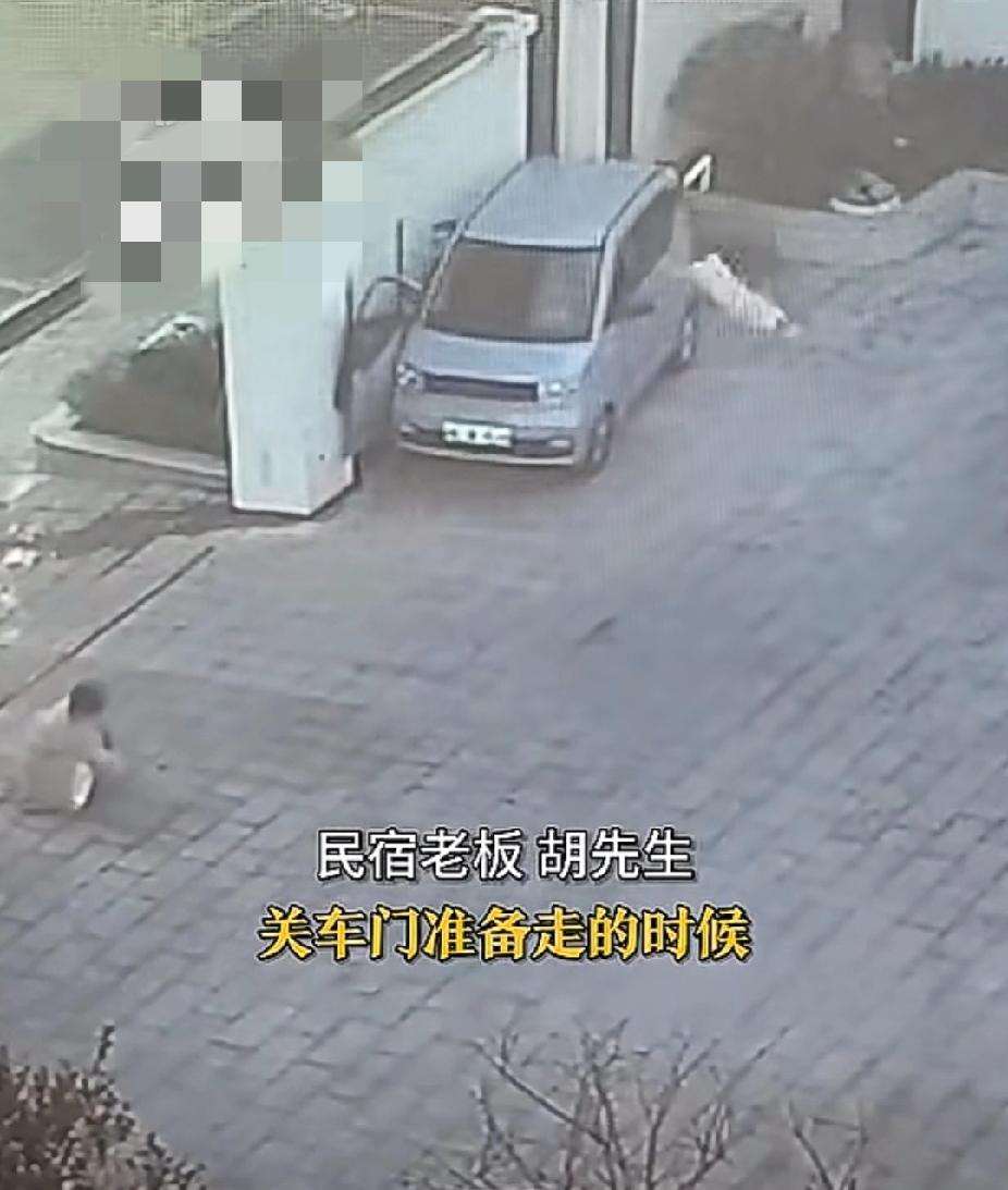 这狗子该打一顿了！12月10日，浙江湖州一民宿的狗子勿踩汽车油门伤到客人！民宿老