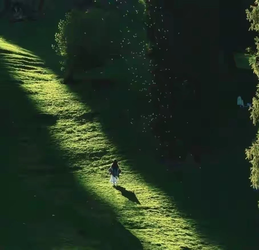 一个人在某一个维度上越出色，往往意味着他把大量的生命能量、时间、注意力...