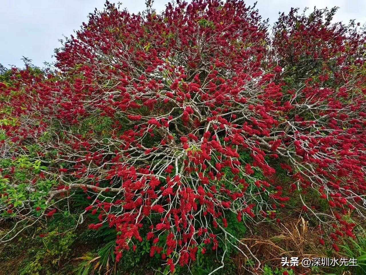 80后独生子女，这辈子算是赶上最难的局了！
 
没人亏欠他们，时代也没故意为难谁