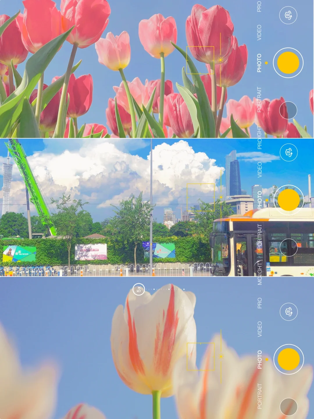 手机调色✨童话氛围感发光滤镜🌷拯救废片❗