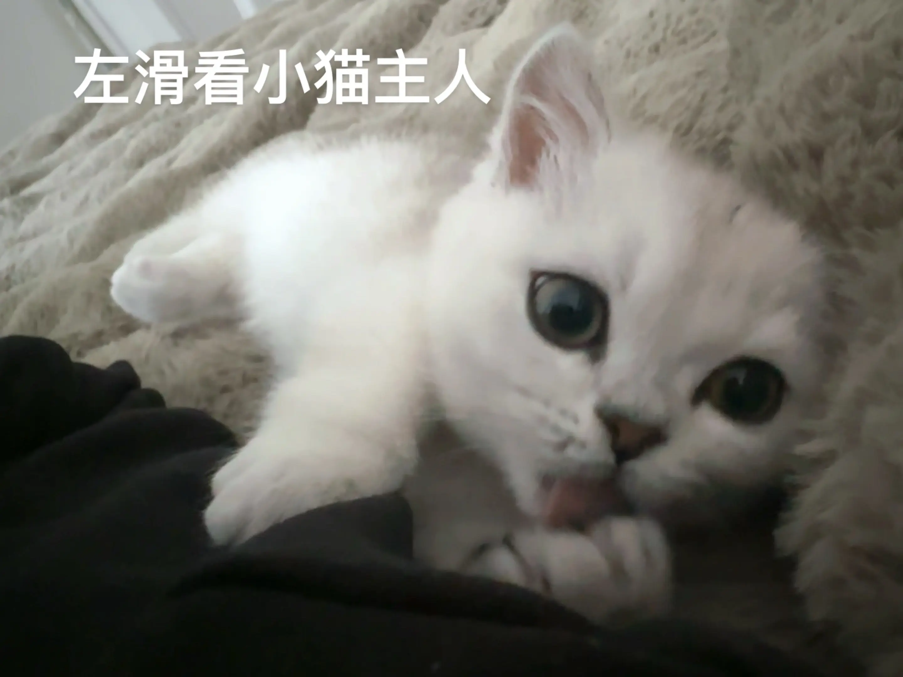 秒～