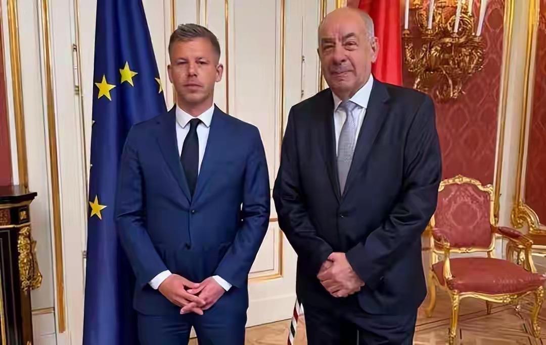 面对毛焦尔的辞职威胁，匈牙利总统有什么反击手段吗？

就在几天前，匈牙利政坛大地