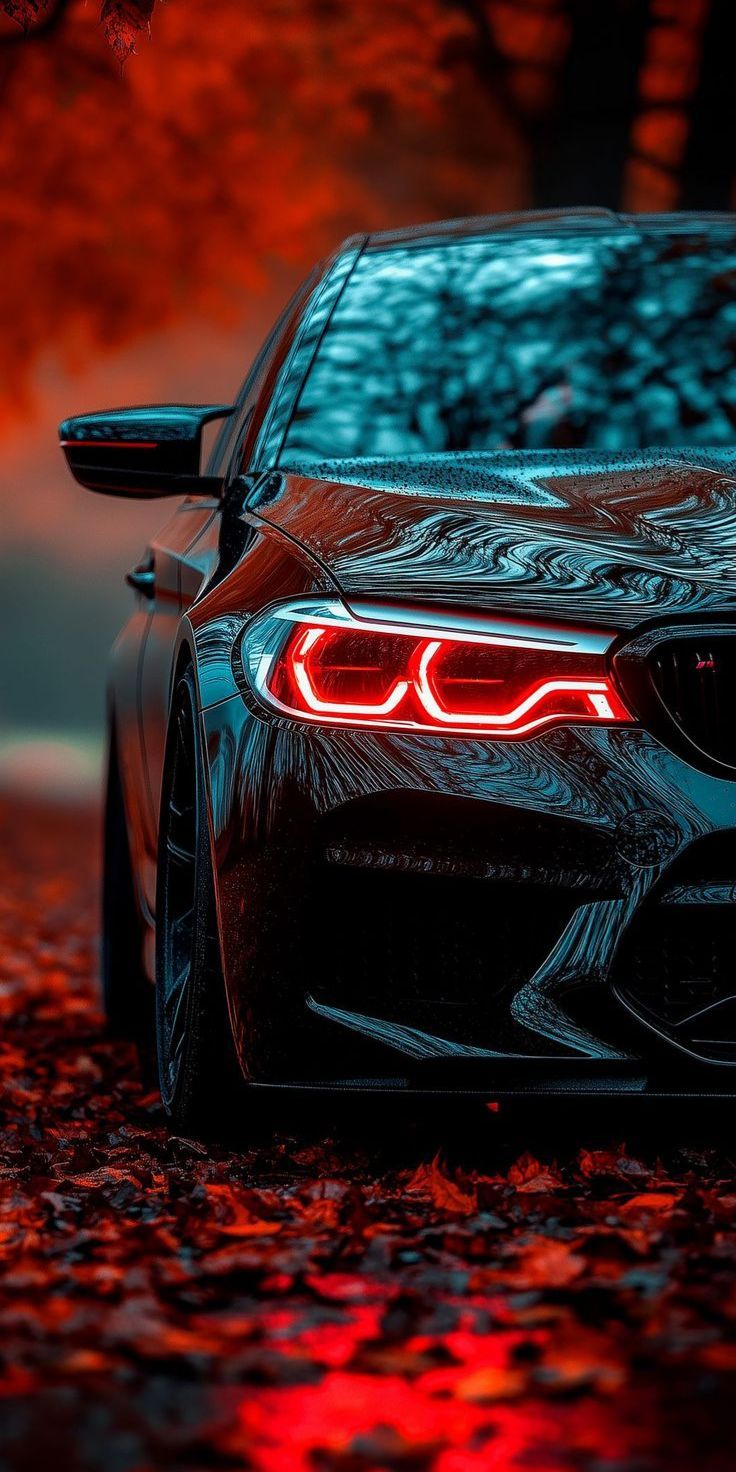 早！Bimmer[太阳]bmwsky[超话] 手机壁纸 ​​​