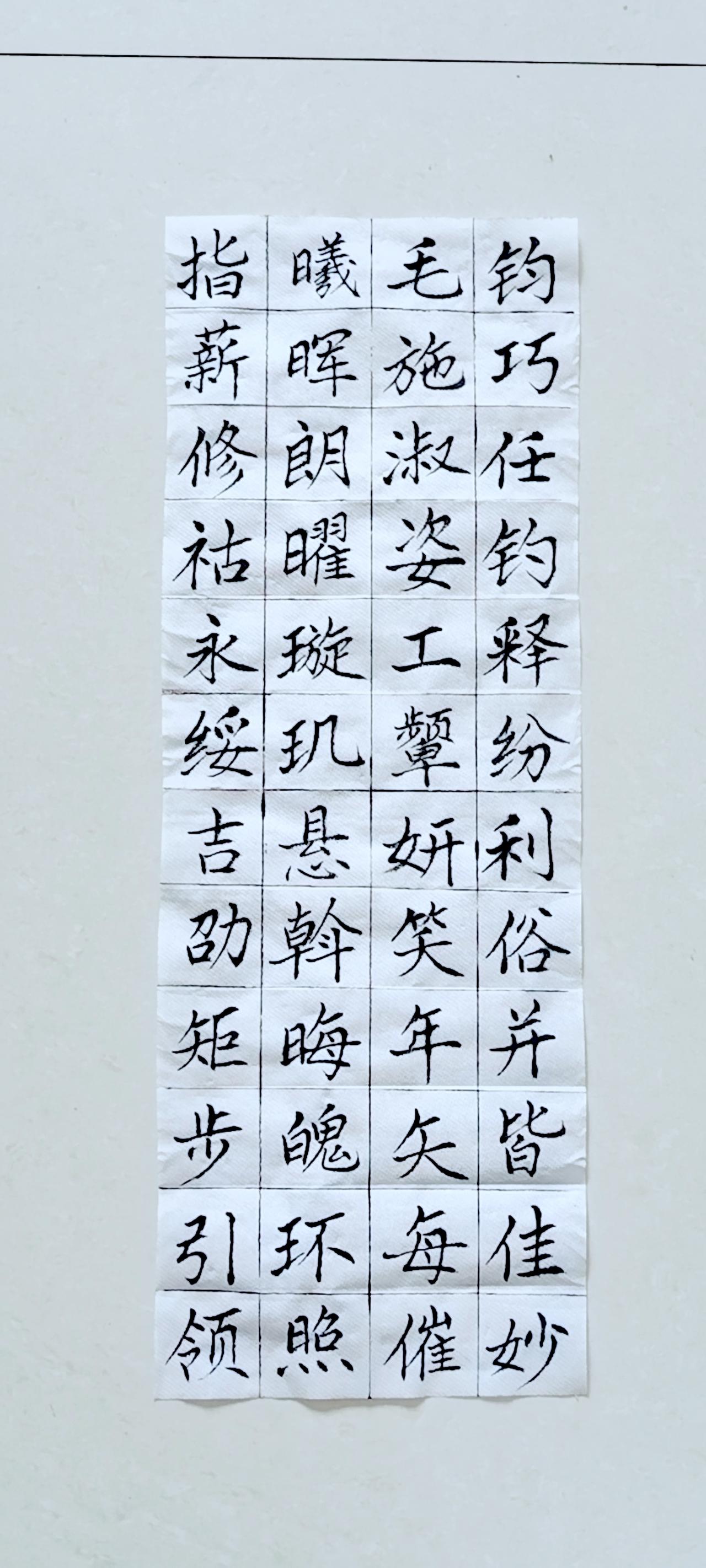 第六十五天《千字文》（20）正楷毛笔练习