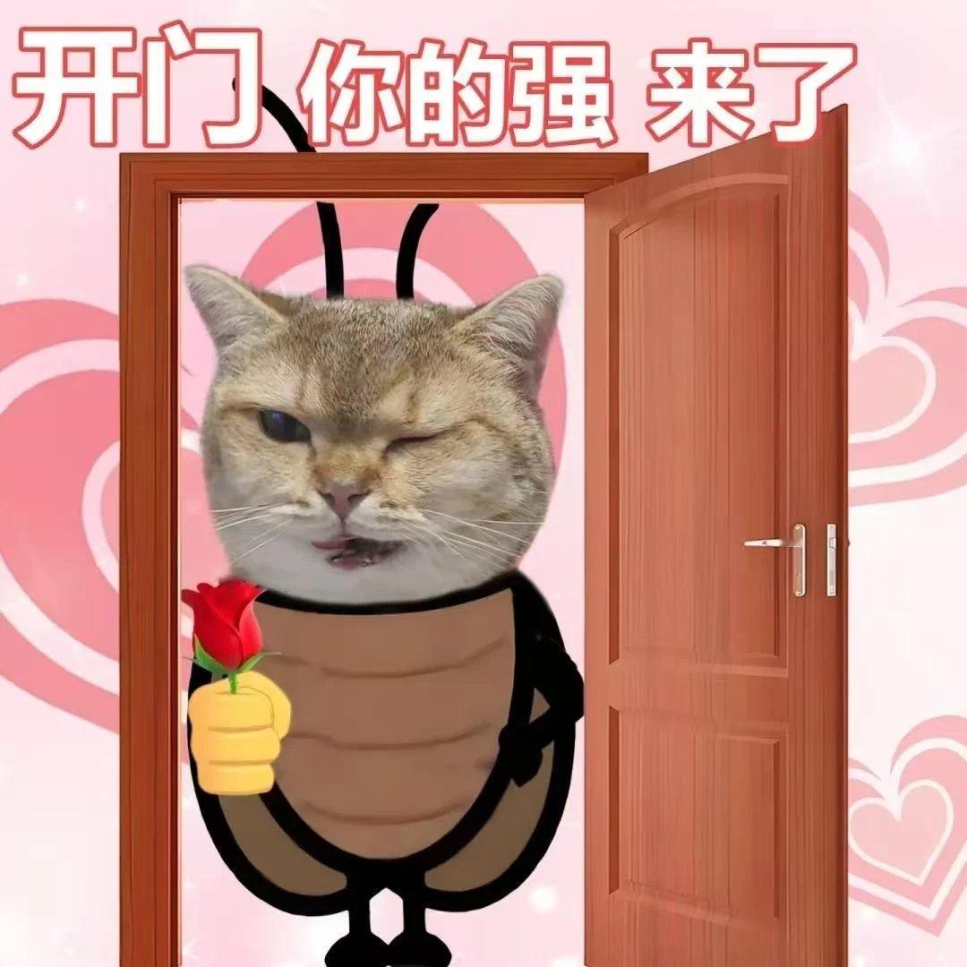 逞强的最高境界：一边给自己贴创可贴，一边给伤口拍照发动态，配文：“今天也勇敢地活