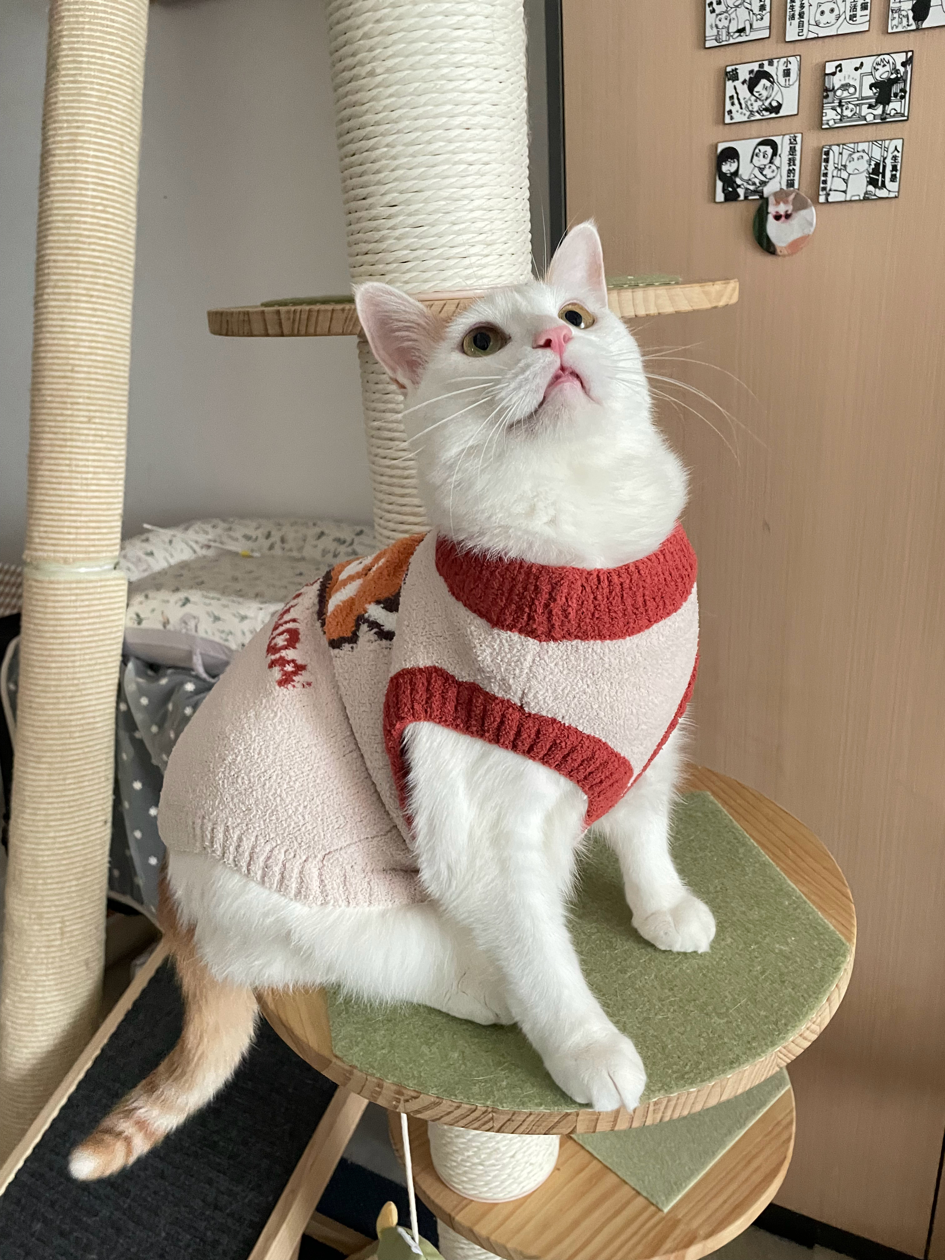 过冬的衣服已到位 ​​​